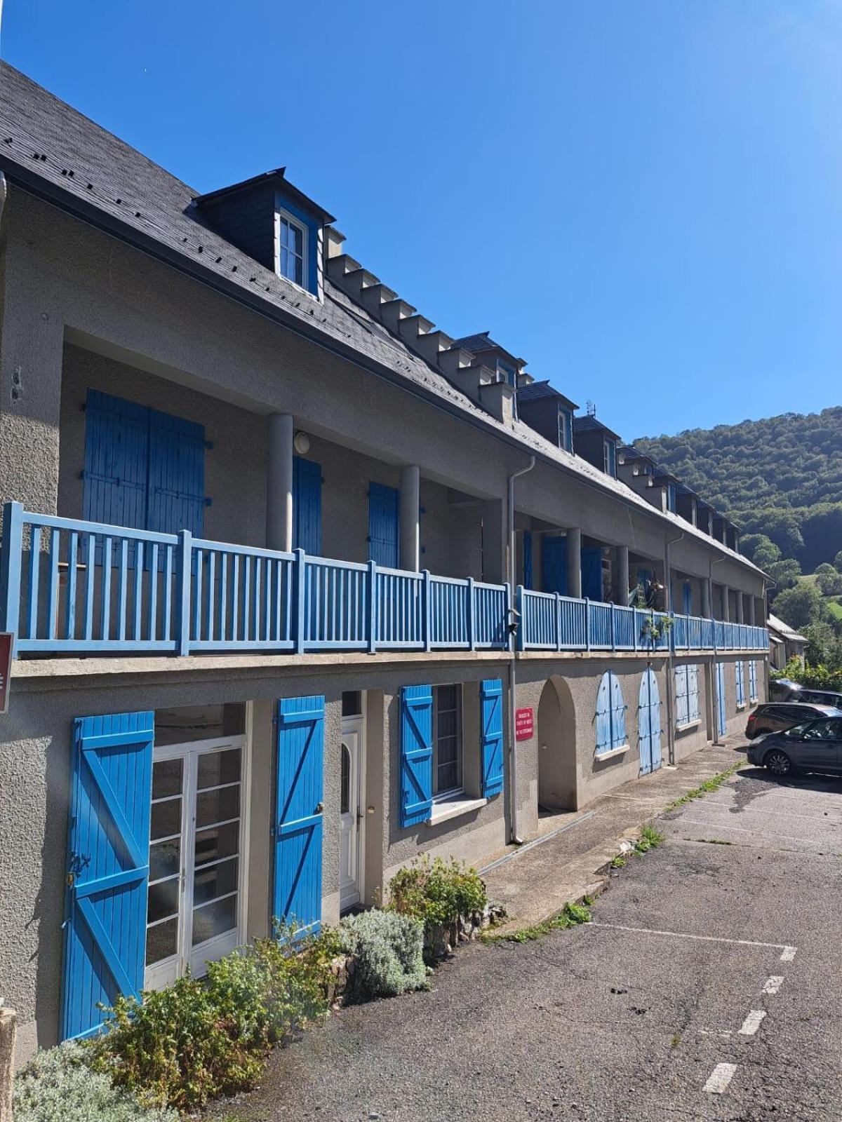 Grand Appartement En Rdc Vallee De Campan Exteriör bild